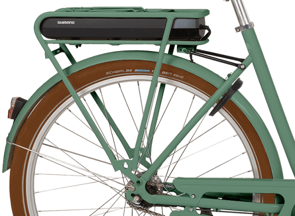 Bakskärm Prima Steps Grön (Inkl stag) Cykel